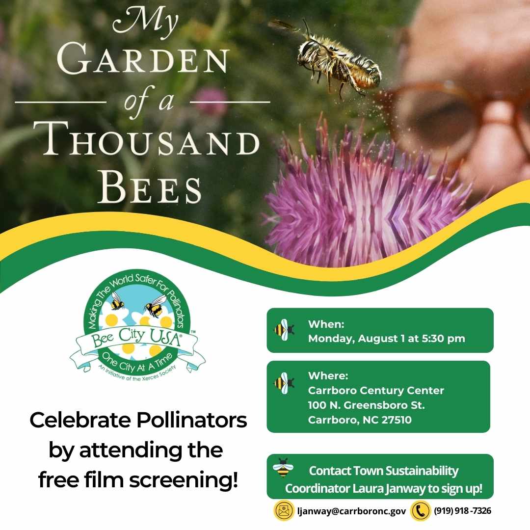 My Garden of a Thousand Bees