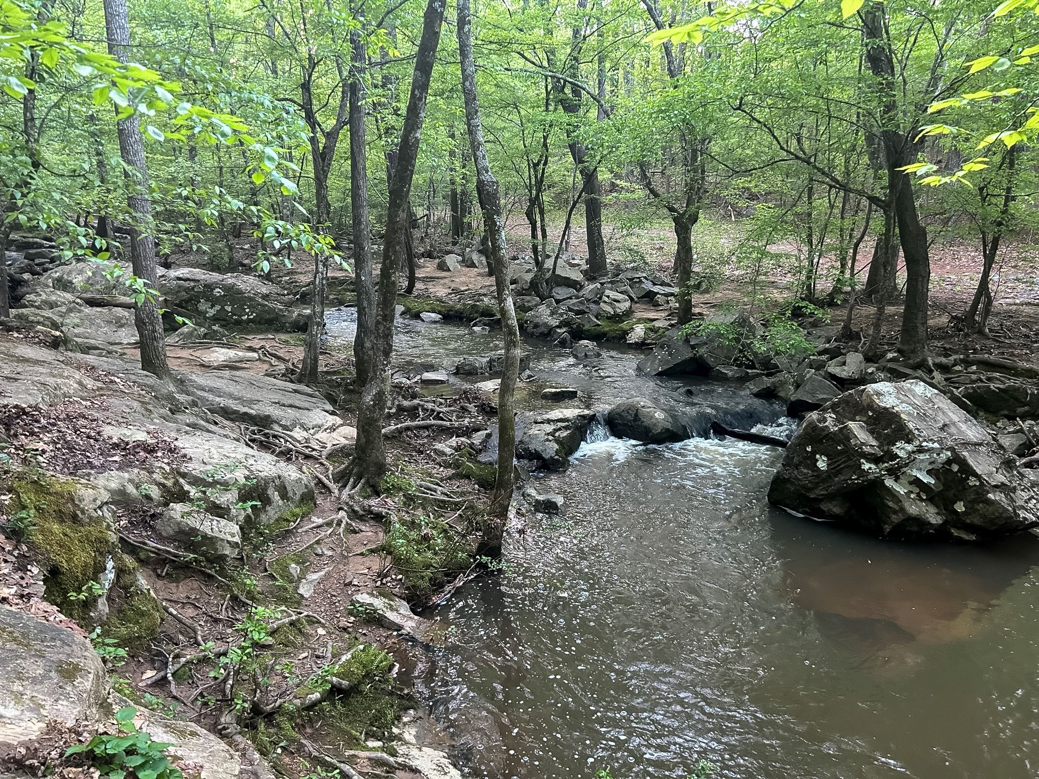 Image of Bolin Creek