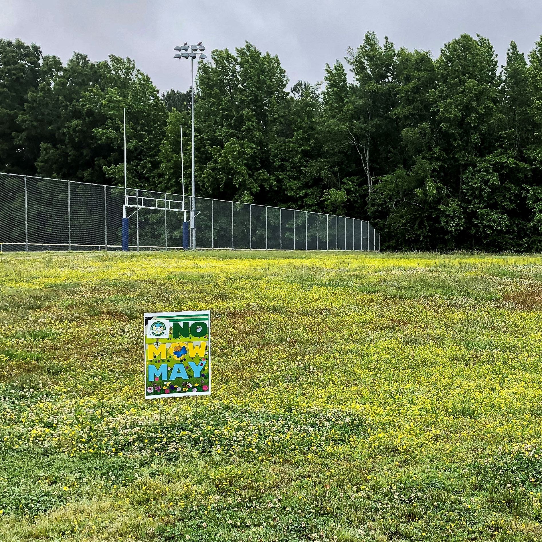 NoMowMay2023 (1)