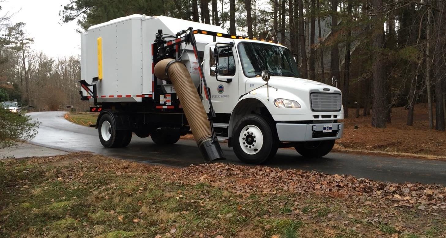 Loose Leaf Collection