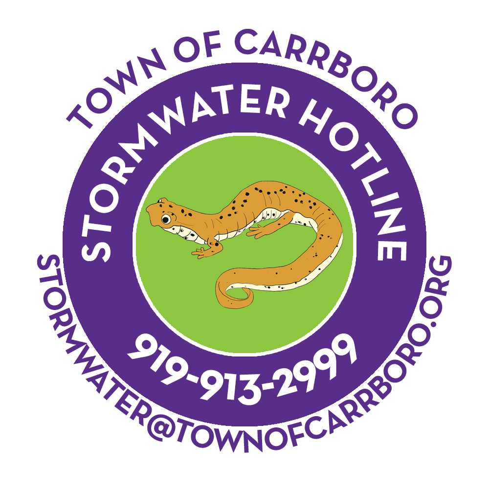 Stormwater Hotline Seal Salamander