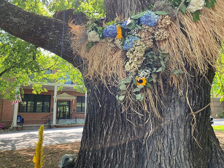 tree with art for web