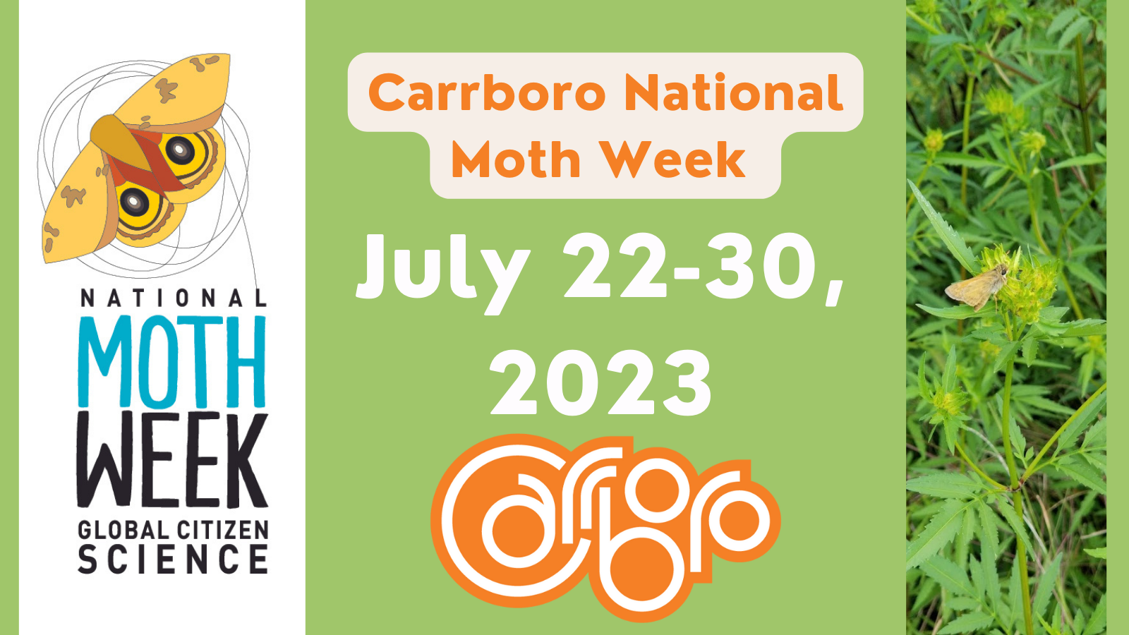 Carrboro National Moth Week 2023 Newsletter