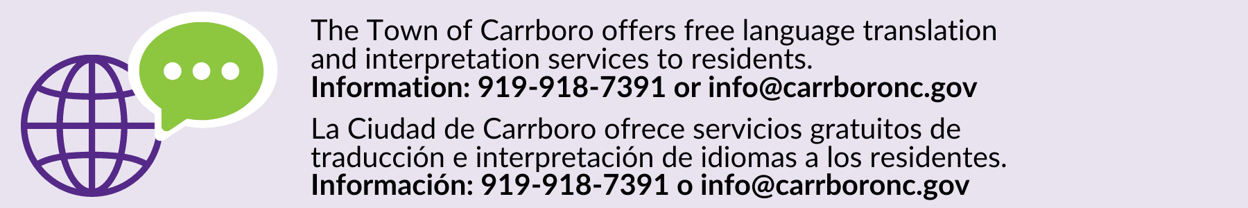 language access statement