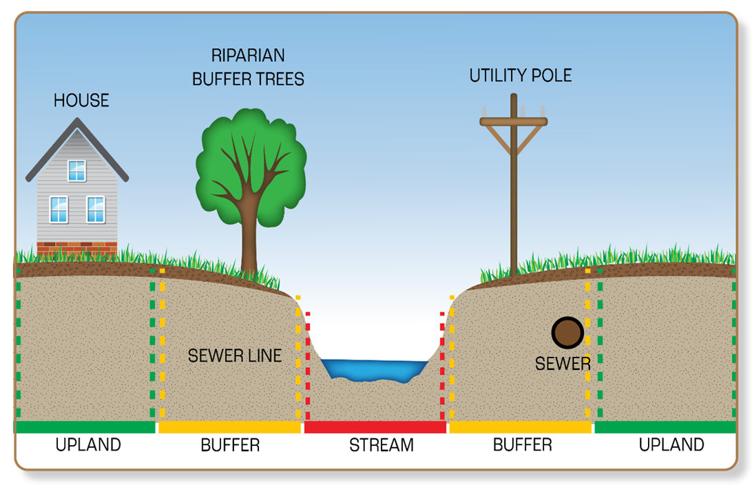 Stream Corridor and Adjacent Areas